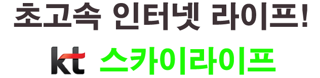 메인텍스트 1