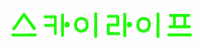 스카이텍스트