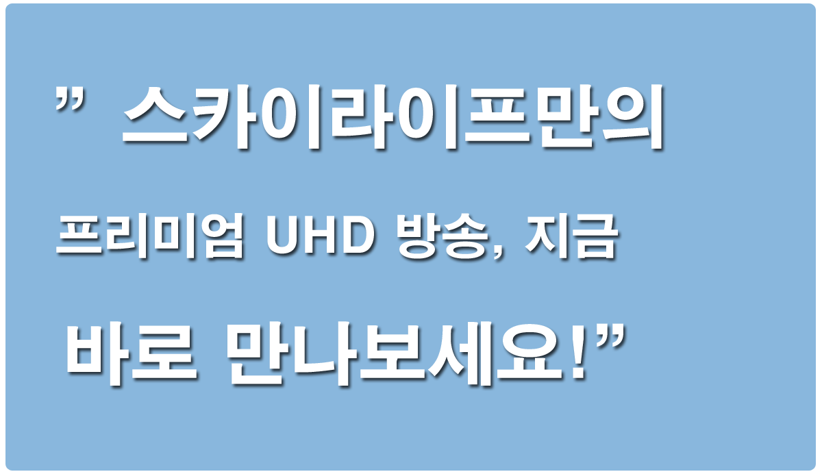 메인이미지 2