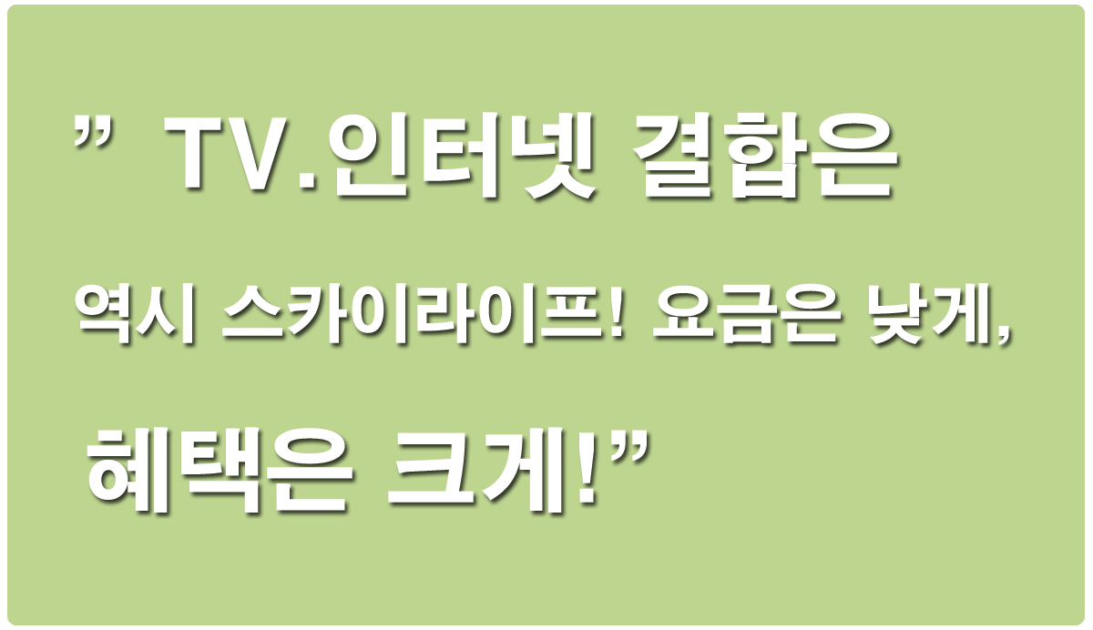 메인이미지 4